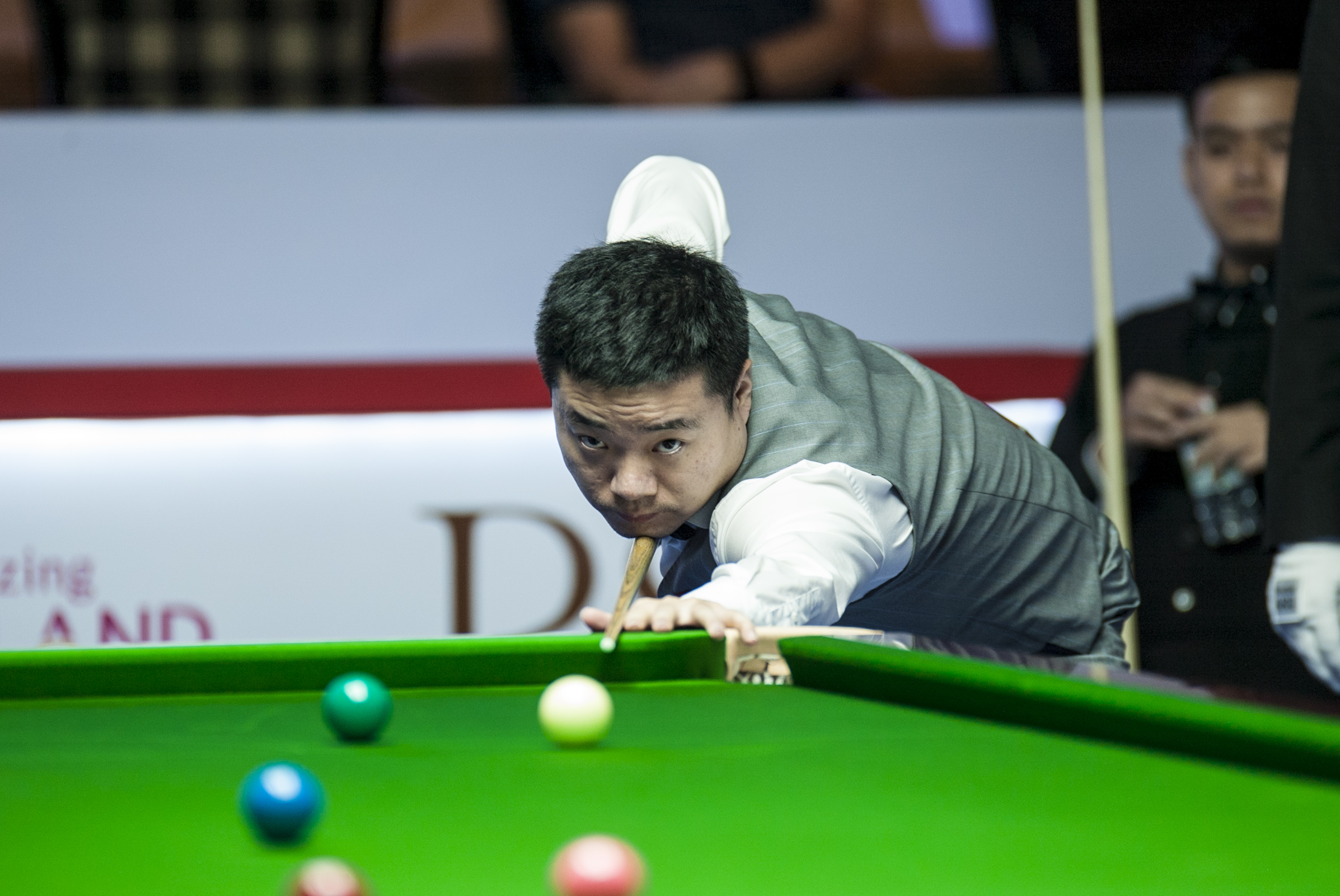 日后的职业 日后的职业